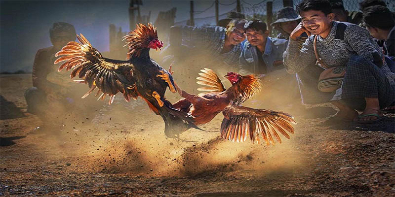 i88bet chơi bắn cá đổi thưởng