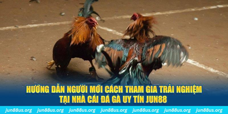 i88bet CQ9 Điện Tử