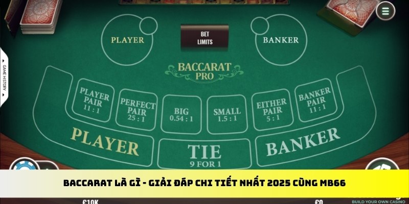 i88bet gà chọi cu cần