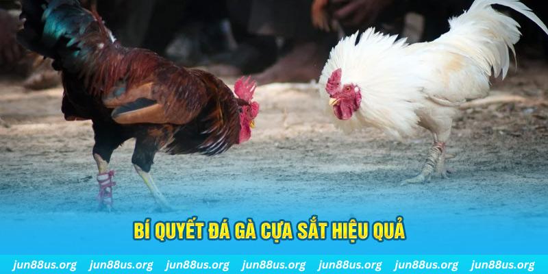 i88bet xin 1 slot là gì