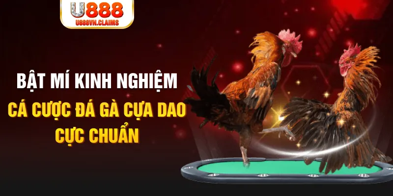 i88bet tỷ lệ cá cược châu á là gì