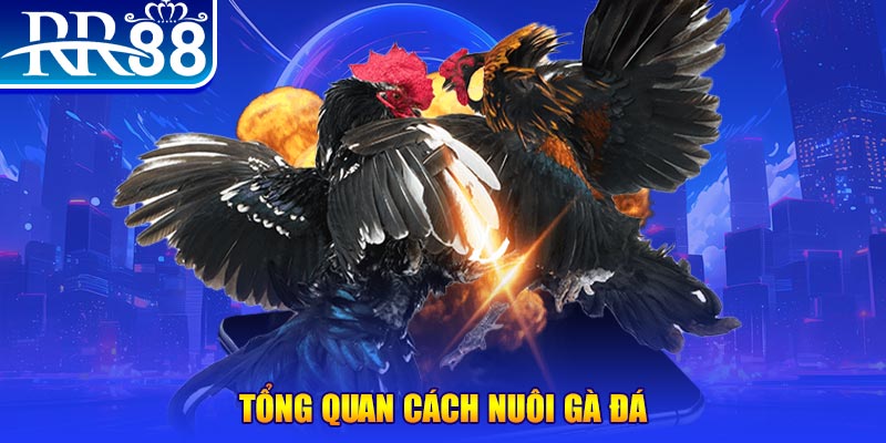 i88bet VA Điện Tử