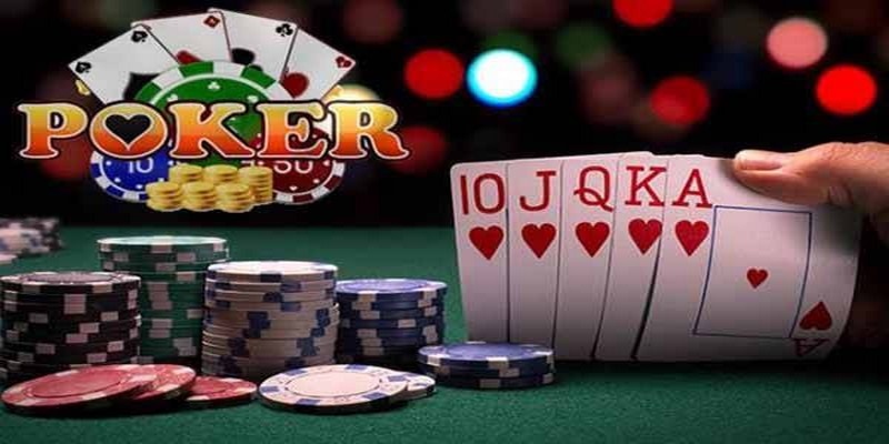 i88bet đá gà thomo trực tiếp