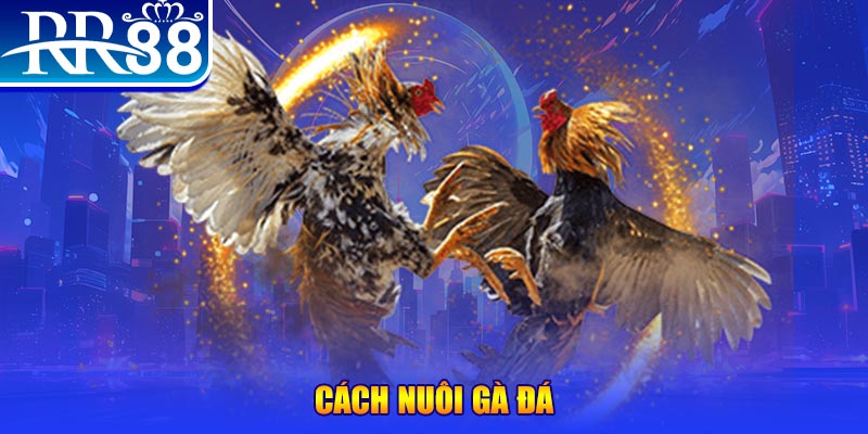 i88bet xổ số an giang