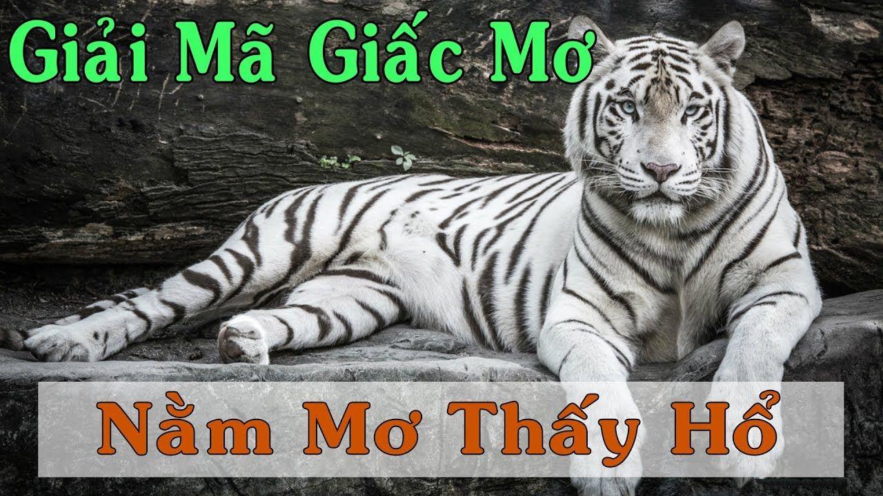 i88bet WM Trực Tuyến