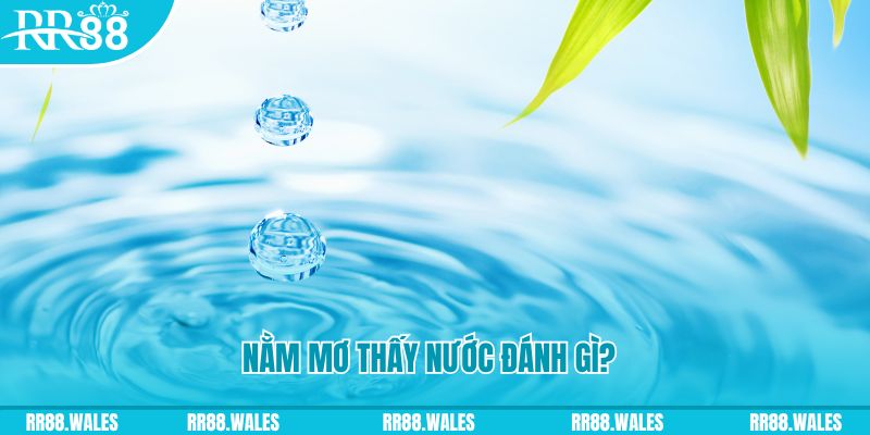 i88bet TP Bắn cá