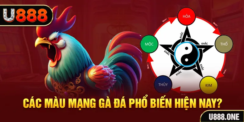 i88bet trực tiếp đá gà 88