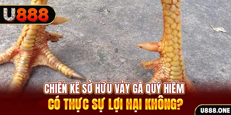 i88bet nohu .mx nổ hủ là gì