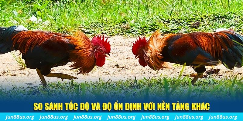 i88bet đá gà hôm nay