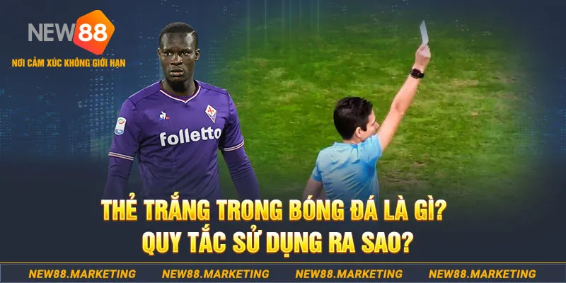 i88bet gà chọi mộc hóa