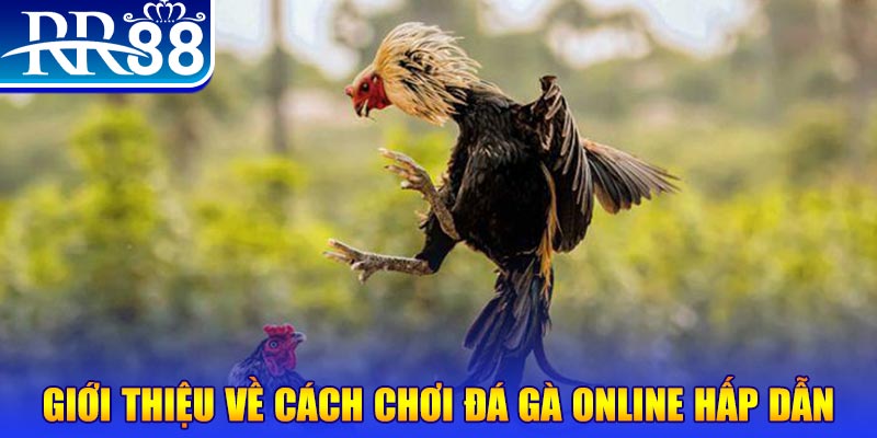 i88bet game nổ hũ rút tiền mặt là gì