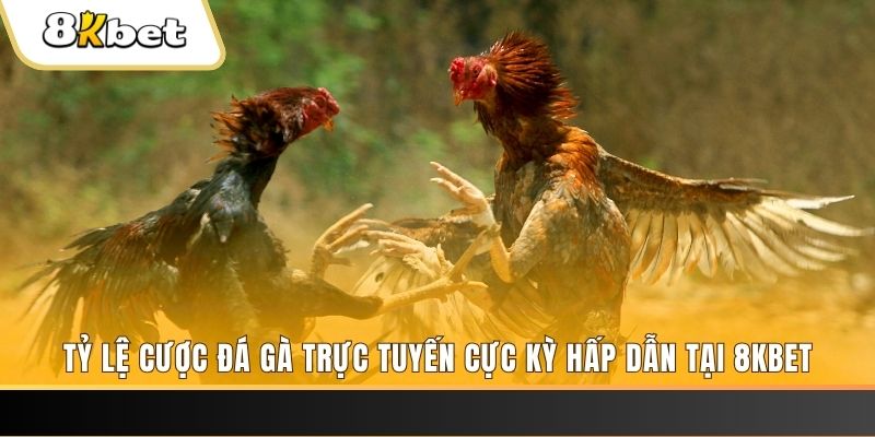 i88bet xổ số trực tiếp miền bắc