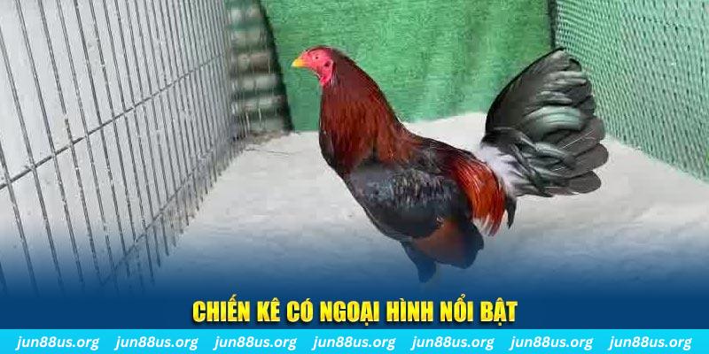 i88bet chạy quảng cáo cho game bài bị phạt như thế nào