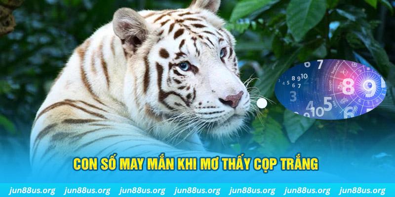 i88bet đá gà trực tiếp 88